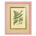 thumbnail image 1 of Fern with Crackle Mat (H) IV - Framed Print w/glass - Sunset Pink, 1 of 6