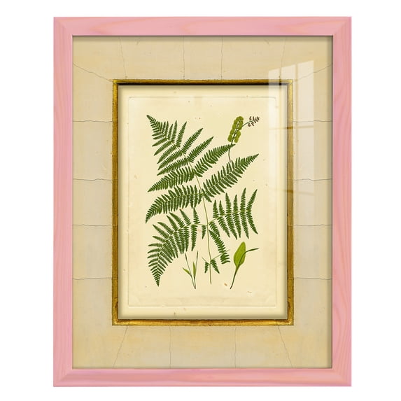 Fern with Crackle Mat (H) IV - Framed Print w/glass - Sunset Pink