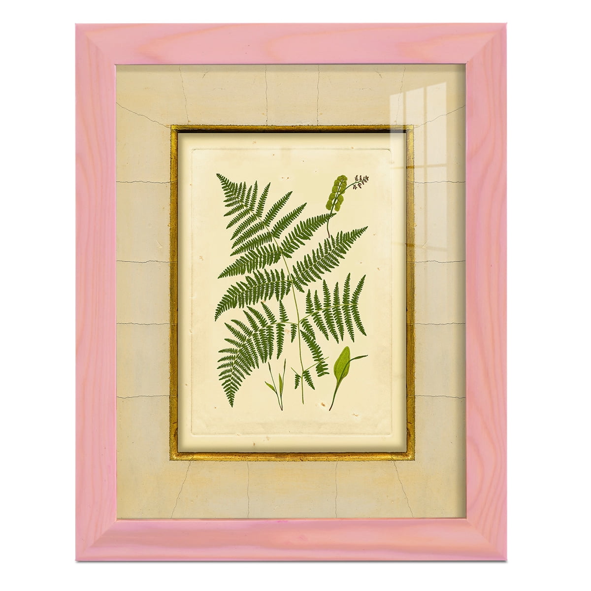 Fern with Crackle Mat (H) IV - Framed Print w/glass - Sunset Pink