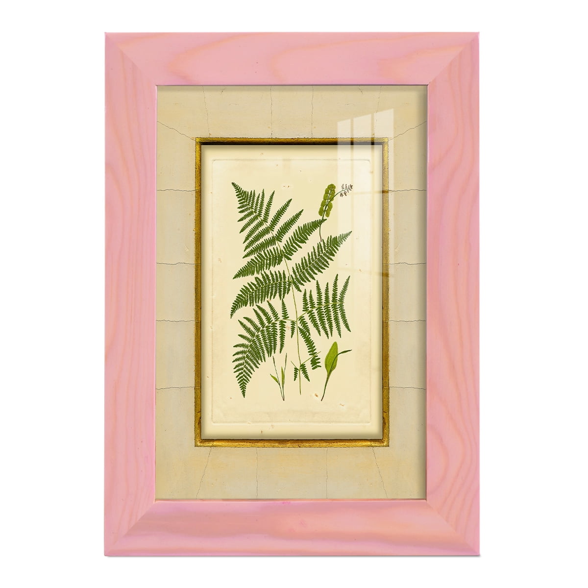 Fern with Crackle Mat (H) IV - Framed Print w/glass - Sunset Pink