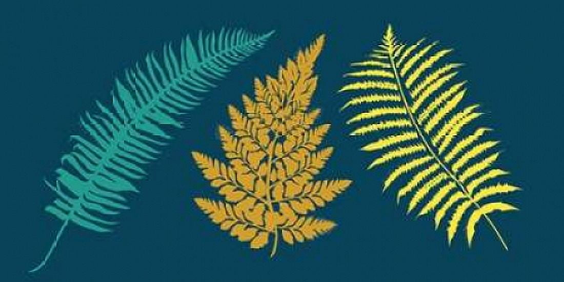 Ferns Canvas Art - Longfellow Designs (24 x 48)