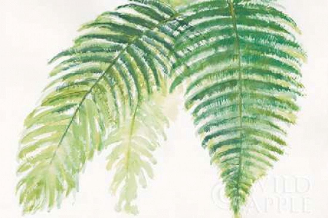 Ferns III Canvas Art - Chris Paschke (12 x 18)