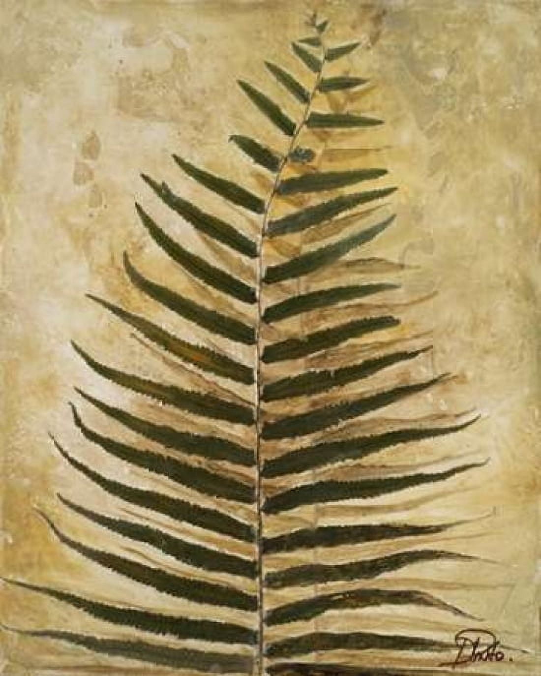 Ferns III Canvas Art - Patricia Pinto (24 x 30)