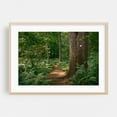thumbnail image 1 of Ferns on Partridge Island Trail, Lynnfield 06 - Lynnfield Massachusetts Photography Forest Nature Landscape Scenic Botanical Summer Rustic Oak Framed Wall Art Print 20 x 30 inches, 1 of 6