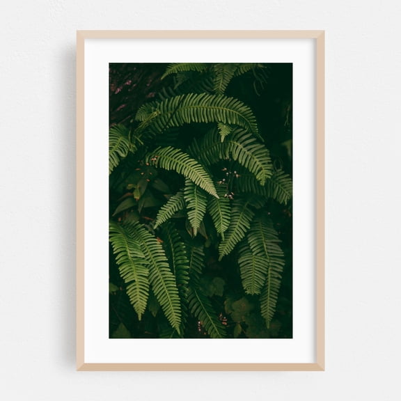 Ferns - Photography Botanical Nature Forest Tropical Jungle Woodland Floral Oak Framed Wall Art Print 24 x 36 inches