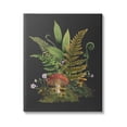 thumbnail image 1 of Ferns Sprouting Woodland Mushroom Plants Botanical & Floral Graphic Art Gallery Wrapped Canvas Print Wall Art, 1 of 7