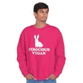 thumbnail image 1 of Ferocious Vegan Herbivore Bunny Unisex Plus Fleece Graphic Sweatshirt Brisco Brands 5X, 1 of 5