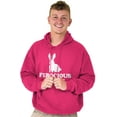 thumbnail image 1 of Ferocious Vegan Herbivore Bunny Unisex Plus Fleece Graphic Hoodie Brisco Brands 5X, 1 of 5