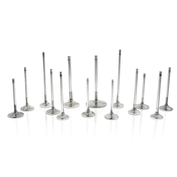 Ferrea BMW M50 32.95mm 5.97mm 106.1mm 12 Deg S-Flo Stk Trpl Grv Comp Plus Int Valve - Set of 12