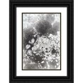 thumbnail image 1 of Ferrell, Erin McGee 23x32 Black Ornate Wood Framed with Double Matting Museum Art Print Titled - Marbling VI, 1 of 4