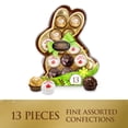 thumbnail image 1 of Ferrero Collection, Easter Bunny Gift Box, 13 Assorted Hazelnut, Dark Chocolate and Coconut Treats, 5 oz​, 1 of 15