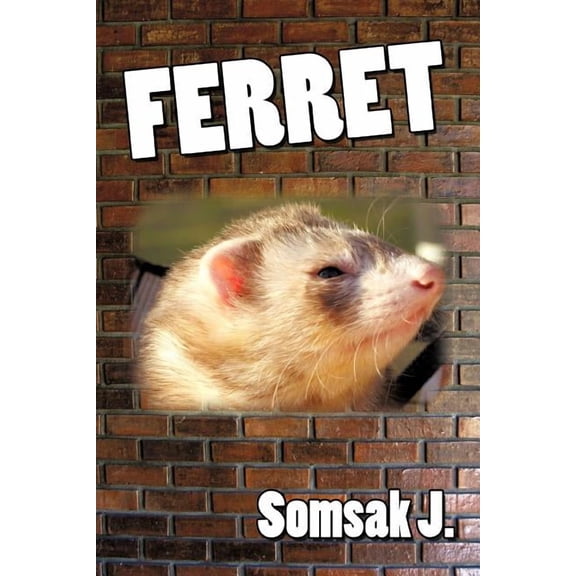 Ferret