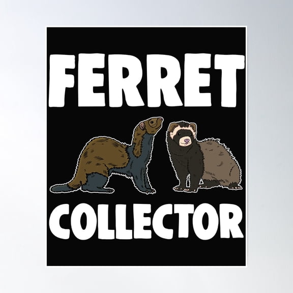 Ferret Collection Poster Wall Art, Modern Wall Decor, 8x12 UNFRAMED