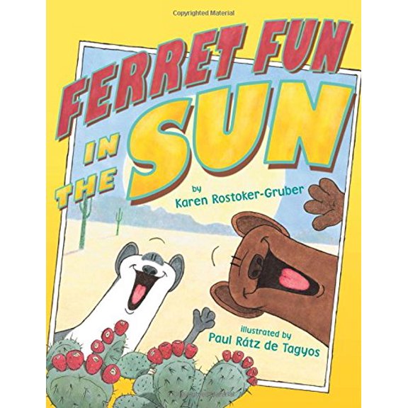 Pre-Owned Ferret Fun in the Sun Paperback - USED