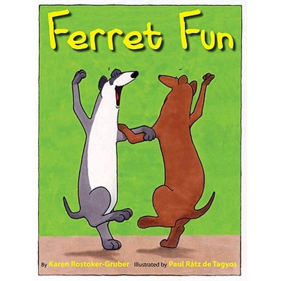 Pre-Owned Ferret Fun (Hardcover) 9780761458173
