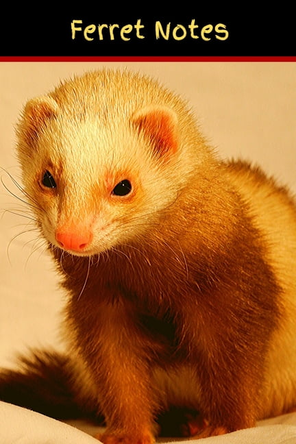 Ferret Notes Customized Easy to Use, Daily Pet Ferret