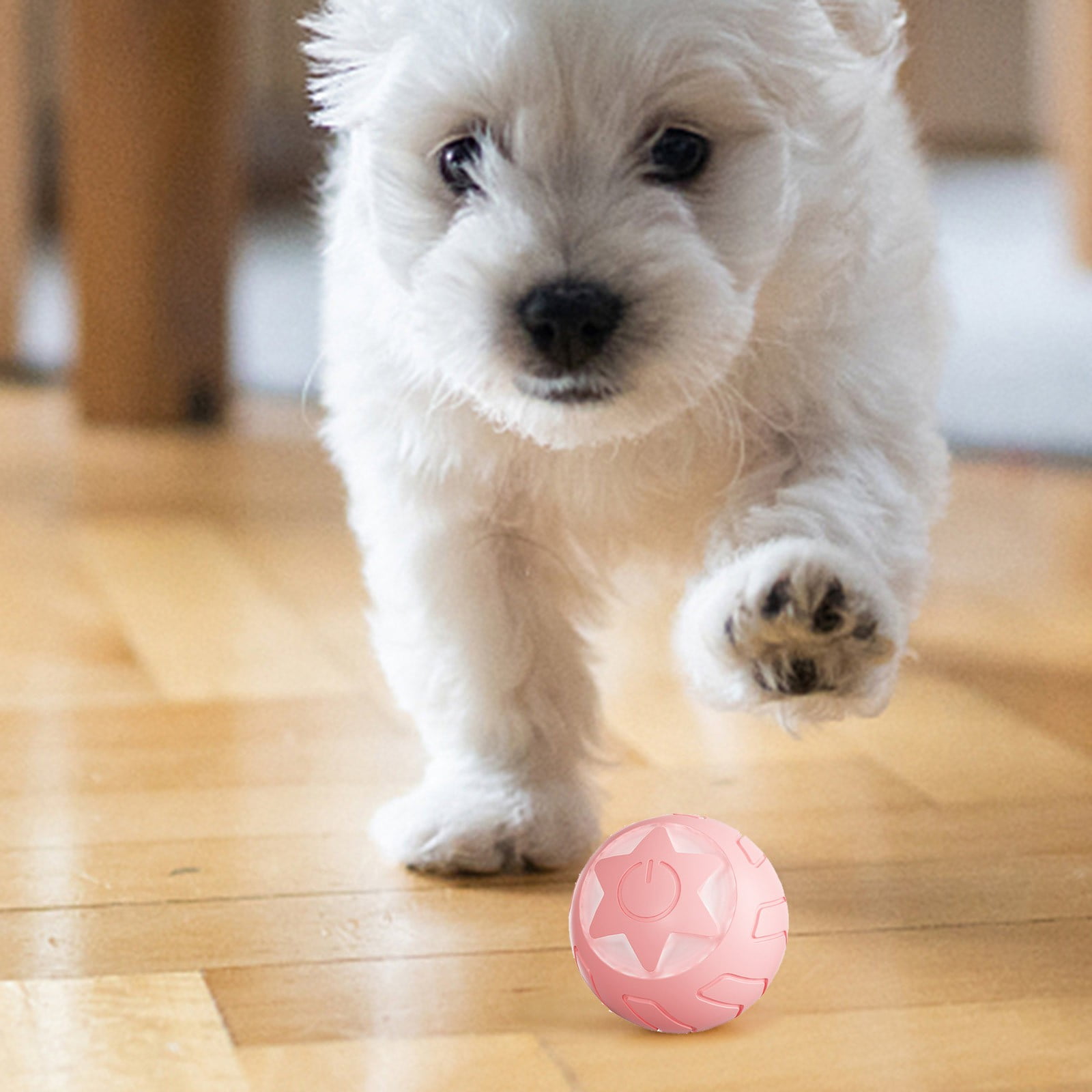 Ferret Plush Squeaky Dog with Many Squeakers Dog Bulk Pack Pet Smart Rolling Cat Toy Teaser Cat