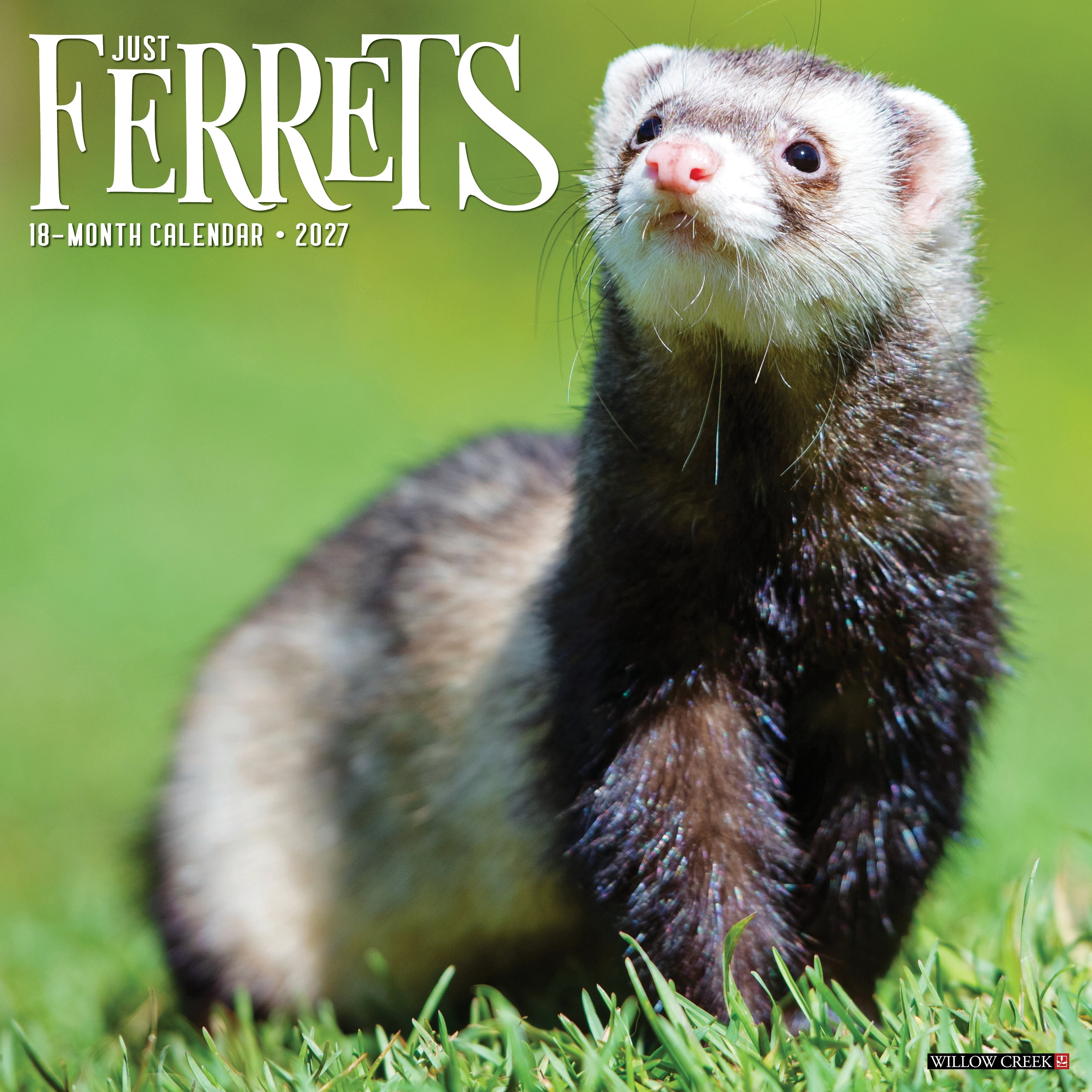 Willow Creek Press, Ferrets 2027 Wall Calendar