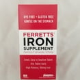 Ferretts Iron Supplement 325mg Tablets, 60ct 008130012061S778