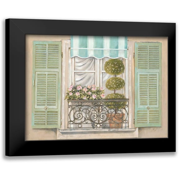 Ferri, Stefania 14x11 Black Modern Framed Museum Art Print Titled - French Shutters 1