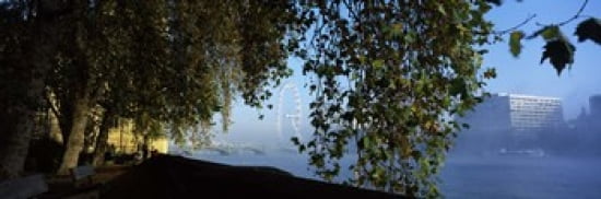 Ferris wheel looking viewed through trees Millennium Wheel Thames River South Bank London England Canvas Art - Panoramic Images (36 x 12)