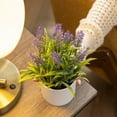 thumbnail image 1 of Ferrisland Fake Plants 2 Pcs Artificial Lavender Plants For Home, 1 of 3