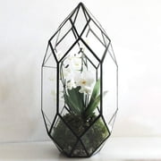Ferrisland Handmade 10 Large Glass Terrarium Irregular Geometric Planter Indoor Air Plants Holder Window Balcony Display Succulent Flower Pot, Black