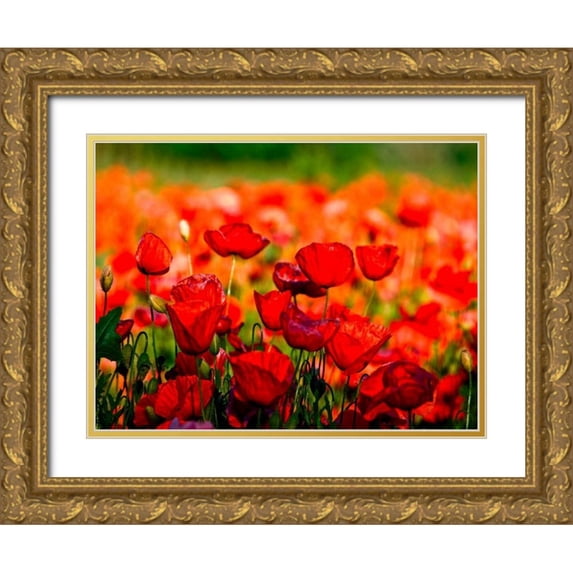 Ferrua, Fulvio 14x12 Gold Ornate Wood Framed with Double Matting Museum Art Print Titled - Dominante rossa