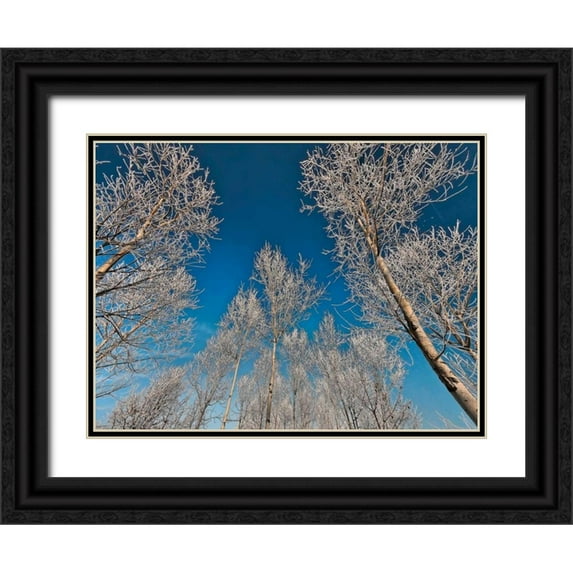 Ferrua, Fulvio 32x25 Black Ornate Wood Framed with Double Matting Museum Art Print Titled - Sottozero