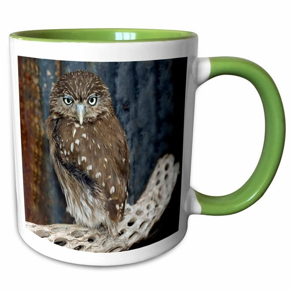 3drose, Ferruginious Pygmy Owl - Us03 Bfr0131 - Bernard Friel, 11oz Two-tone Green Mug