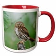 thumbnail image 1 of 3drose, Ferruginous Pygmy-owl, Rio Grande Valley, Texas - Na02 Rnu0583 - Rolf Nussbaumer, 15oz Two-tone Red Mug, 1 of 6