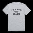 thumbnail image 1 of Ferrum College Panthers Distressed Arch T-Shirt, Heather Grey - Small, 1 of 1