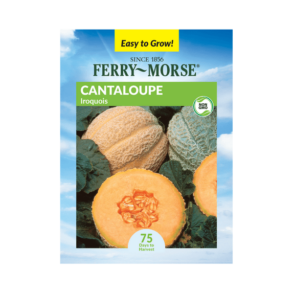 Ferry-Morse 1.2G Cantaloupe Iroquois Annual Fruit Seeds, Full Sun