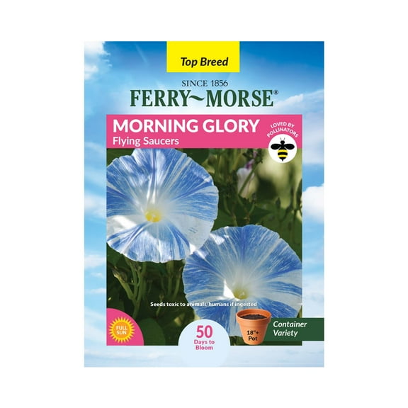 Ferry-Morse 1.2G Morning Glory Flying Saucers Annual Flower Seeds, Full Sun