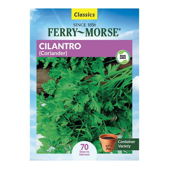 Ferry-Morse 1.35G Cilantro Coriander Annual Herb Seeds, Full Sun
