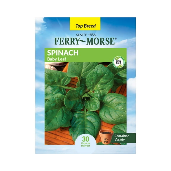 Ferry-Morse 1.35G Spinach Baby Leaf Annual Vegetable Seeds, Full Sun