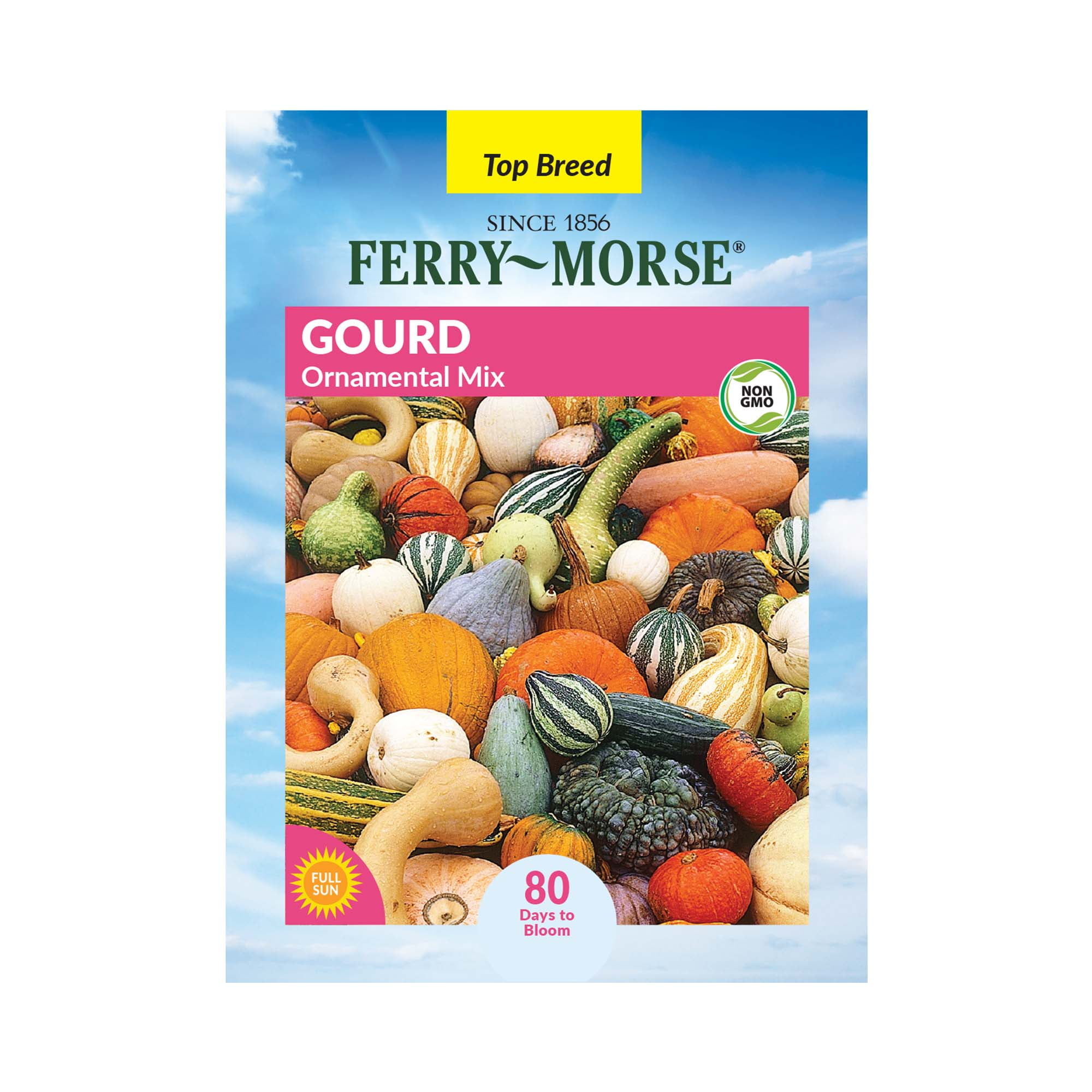 Ferry-Morse 1.3G Gourd Ornamental Mix Annual Flower Seeds, Full Sun