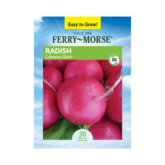Ferry-Morse 1.3G Radish Crimson Giant Annual Vegetable Seeds, Full Sun