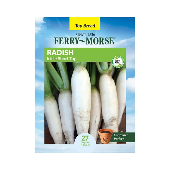 Ferry-Morse 1.3G Radish Icicle Short Top Annual Vegetable Seeds, Full Sun