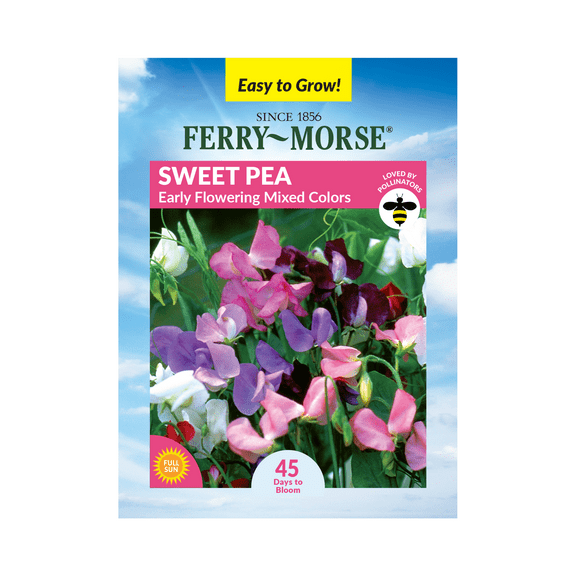 Ferry-Morse 1.4G Sweet Pea Early Flowering Mix Annual Flower Seeds, Full Sun