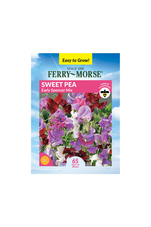 1.4G Sweet Pea Early Spencer Mix Annual Flower Seeds, Full Sun