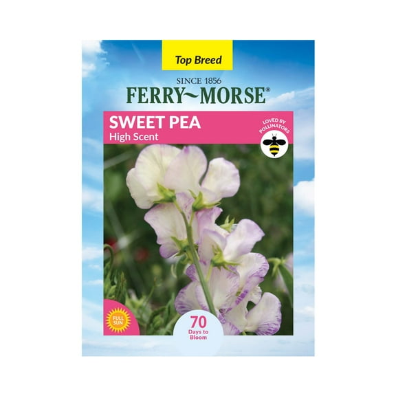 Ferry-Morse 1.4G Sweet Pea High Scent Annual Flower Seeds, Full Sun