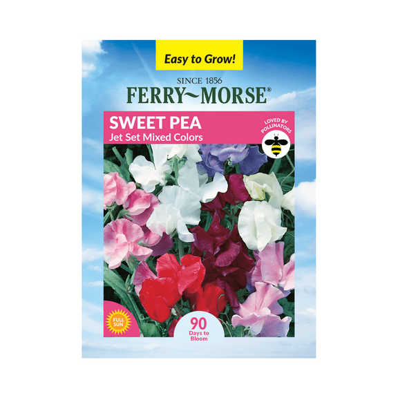 Ferry-Morse 1.4G Sweet Pea Jet Set Mixed Colors Annual Flower Seeds, Full Sun