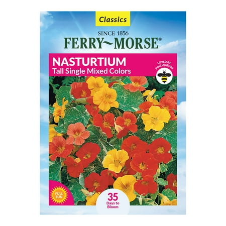 Ferry-Morse 1.7G Nasturtium Tall Single Annual Flower Seeds, Full Sun