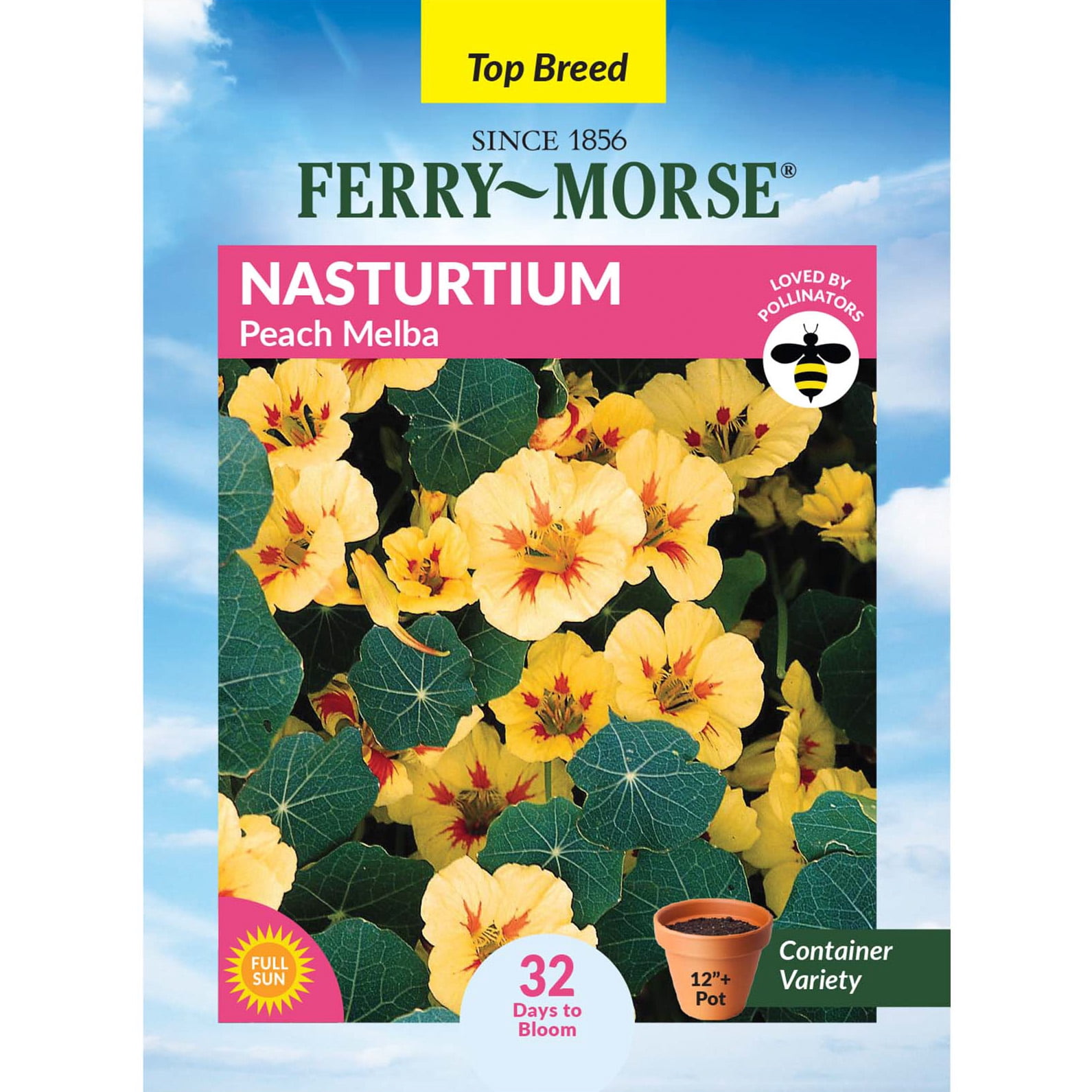 Ferry-Morse 1.9G Nasturtium Peach Melba Annual Flower Seeds, Full