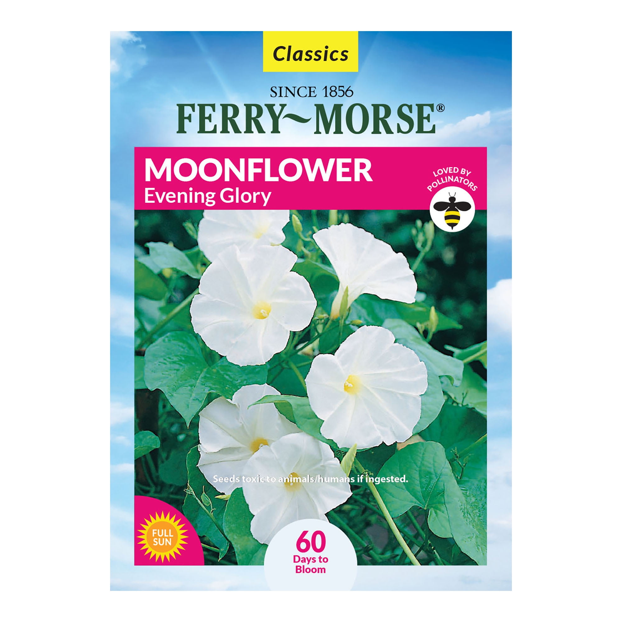 Ferry-Morse Forget-me-not Seeds (L0000) 250-mg at