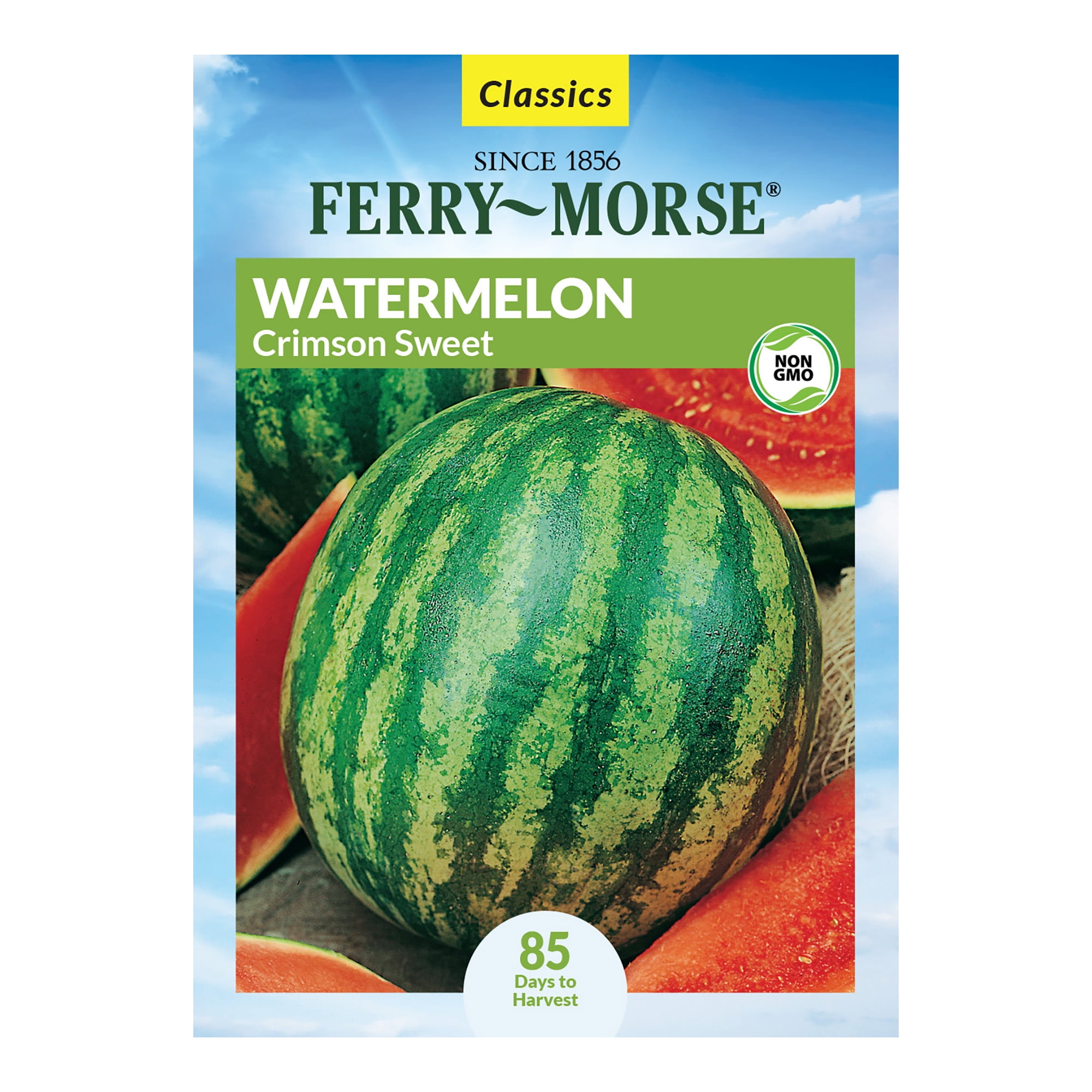 FerryMorse 1000MG Watermelon Crimson Sweet Fruit Plant Seeds Full Sun