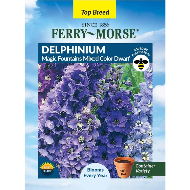 Ferry-Morse 100MG Delphinium Magic Fountains Mixed Color Dwarf