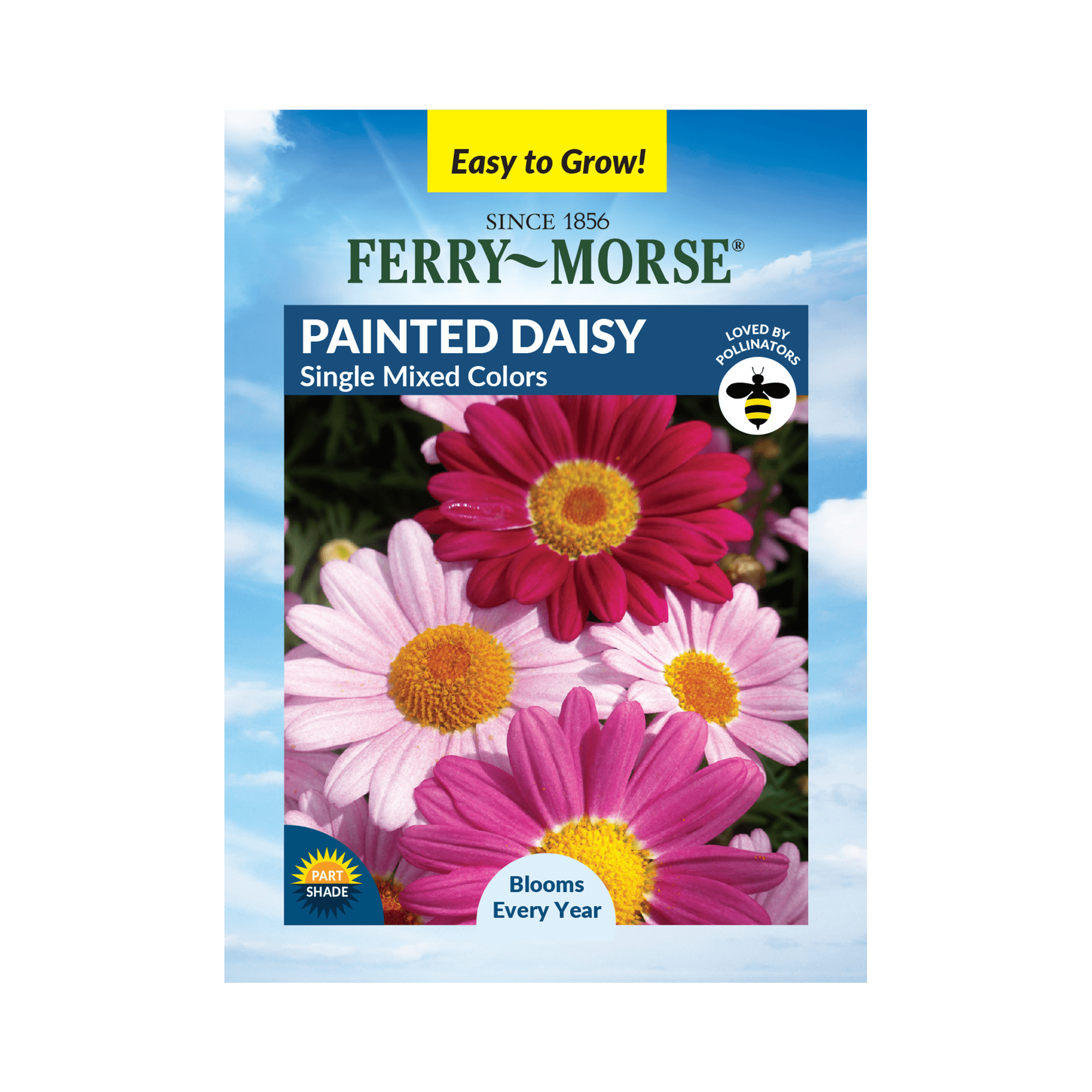 Ferry-Morse 100MG Painted Daisy Single Mixed Colors Perennial Flower Seeds, Full Sun