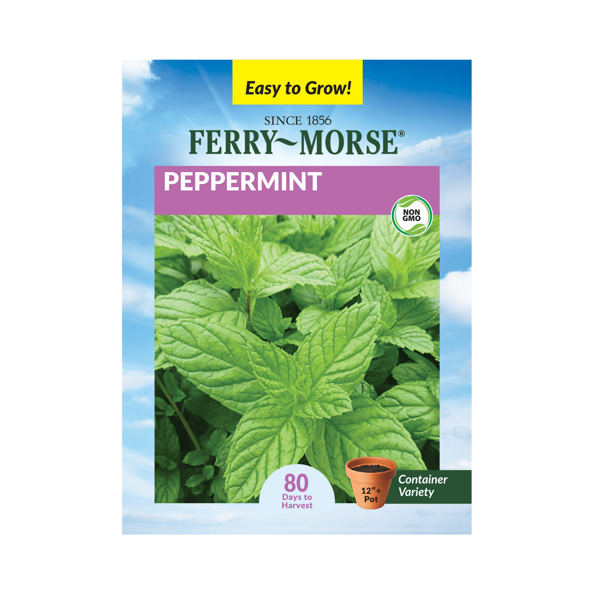 FerryMorse 100MG Peppermint Perennial Herb Seeds, Full Sun Walmart